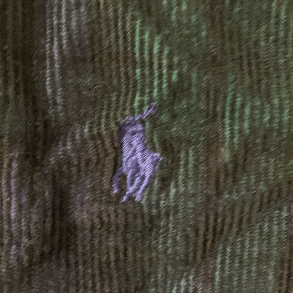 Ralph Lauren Kids Green and Blue Plaid Button Down Shirt - Picture 6 of 8